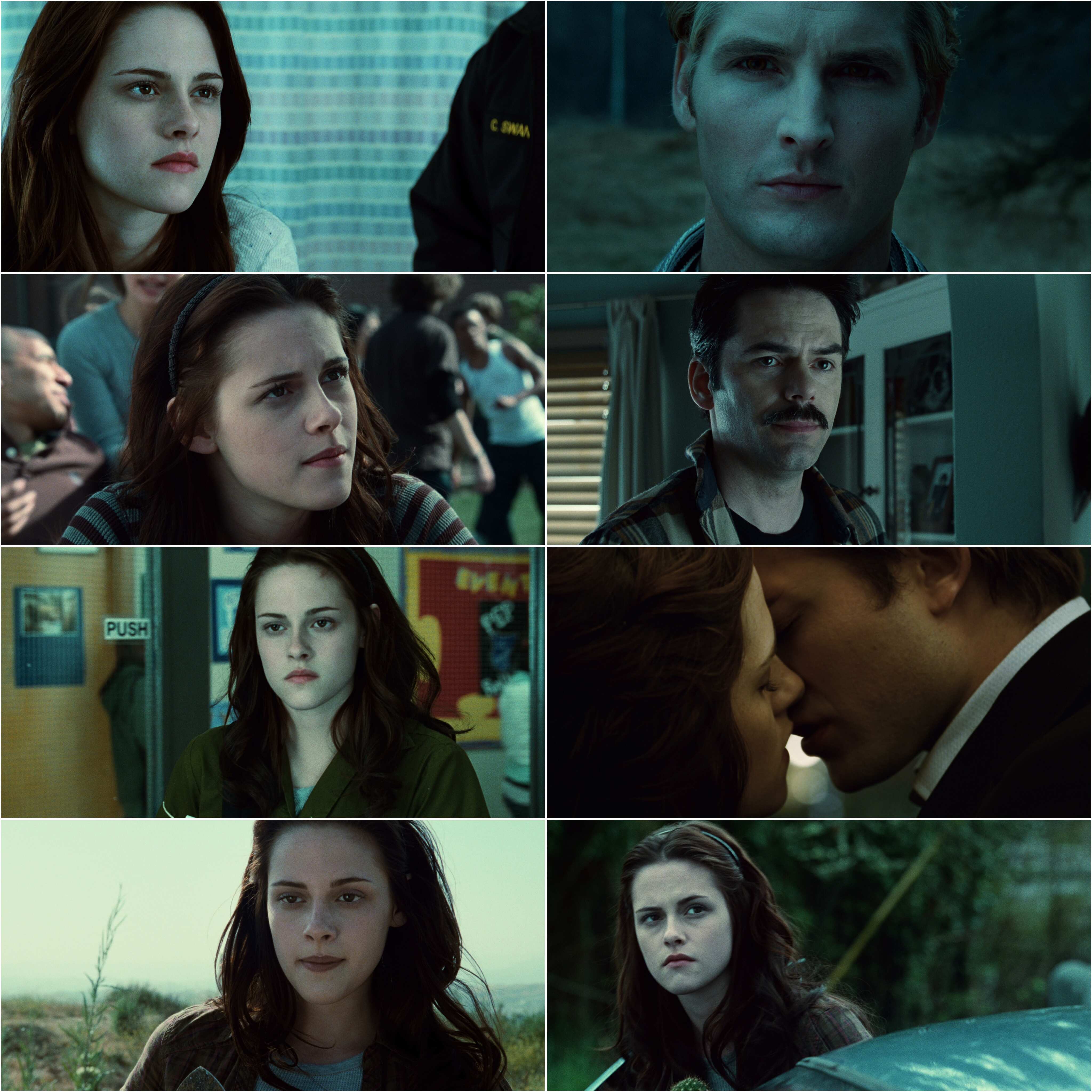 Twilight (2008) (Hindi + English) Dual Audio Hollywood Movie BluRay HD ESub Screenshot